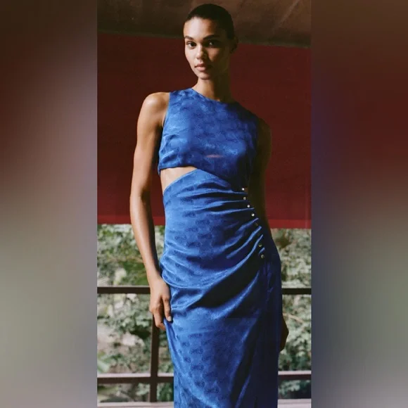 Zara Midi Dress - Picture 3 of 6